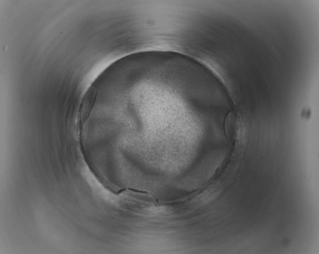 X0000110731468200907101416
