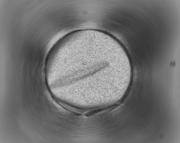 X0000110731469200907101416