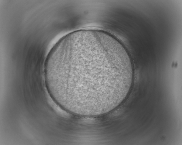 X0000110731470200907101416