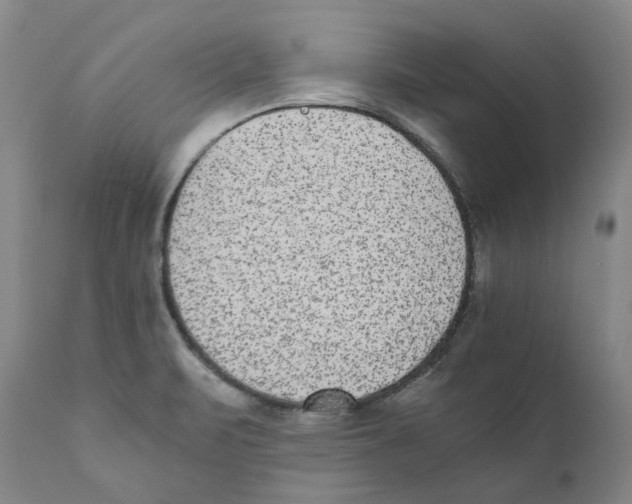 X0000110731471200907101416