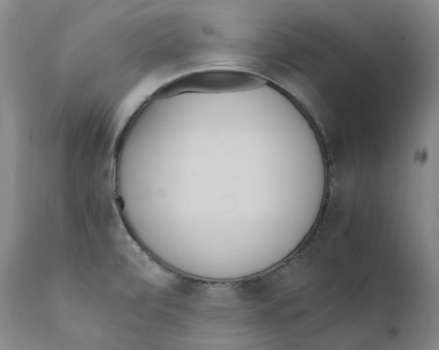 X0000110731472200907101416