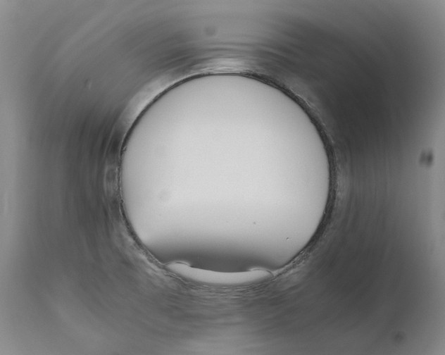 X0000110731473200907101416
