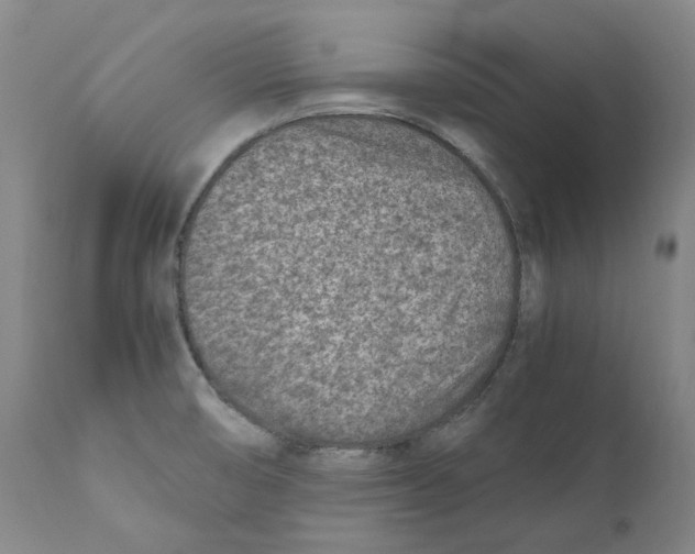 X0000110731474200907101416