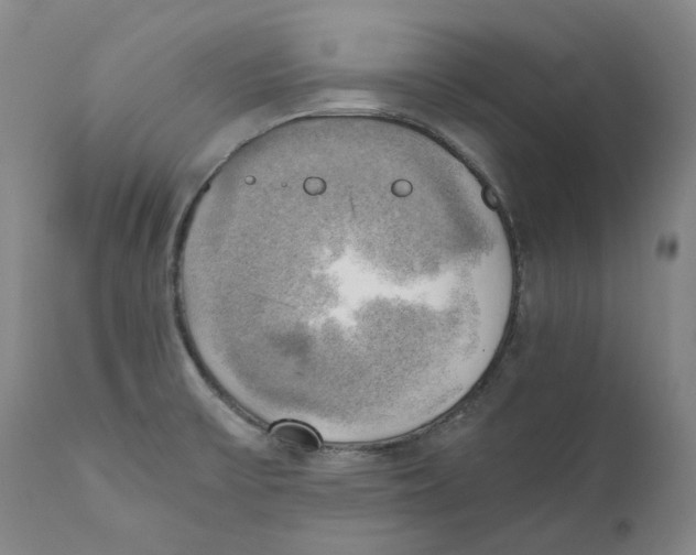 X0000110731475200907101416