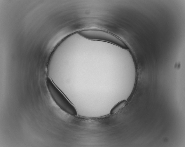X0000110731476200907101416
