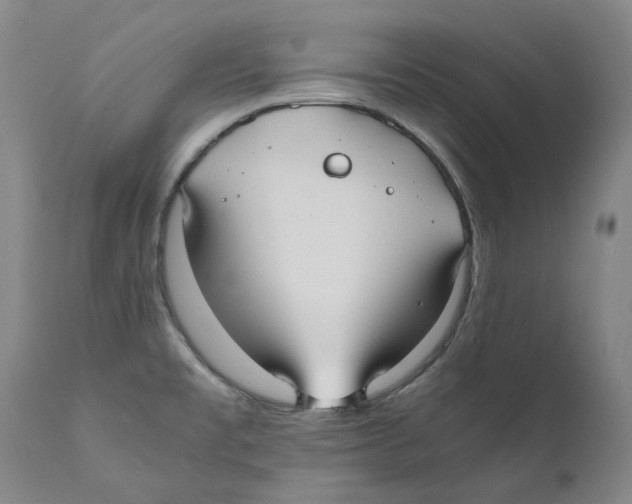 X0000110731477200907101416