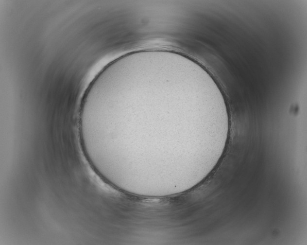 X0000110731478200907101416