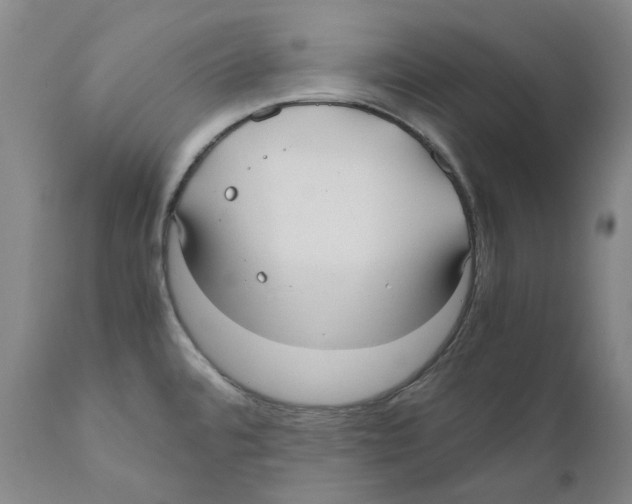 X0000110731480200907101416