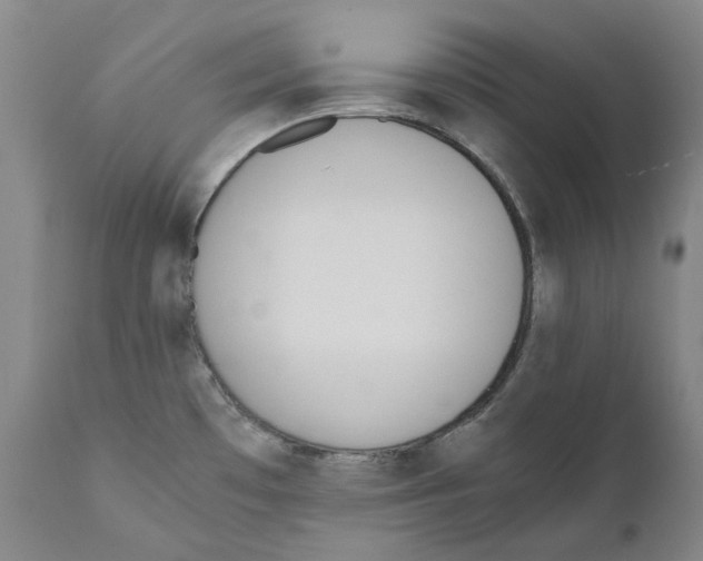 X0000110731481200907101416