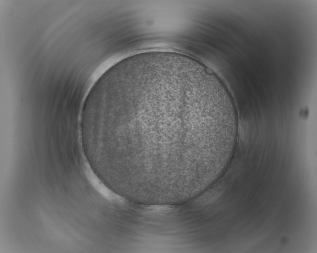 X0000110731482200907101416