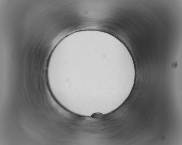 X0000110731483200907101416