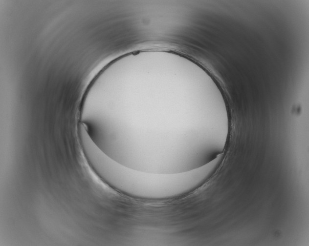 X0000110731484200907101416