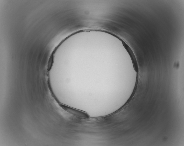 X0000110731485200907101416