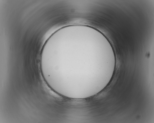 X0000110731486200907101416