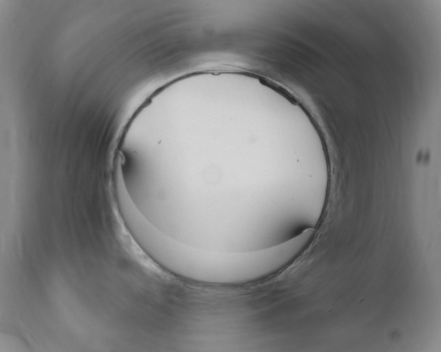 X0000110731488200907101416