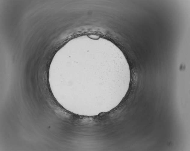 X0000110731489200907101415