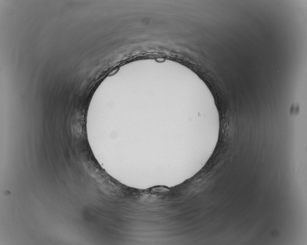 X0000110731490200907101415