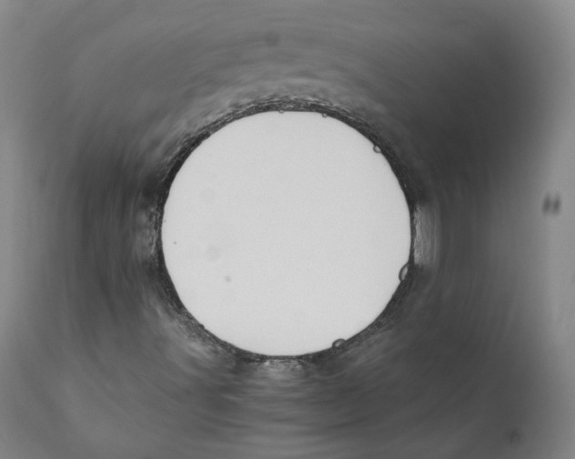 X0000110731491200907101415