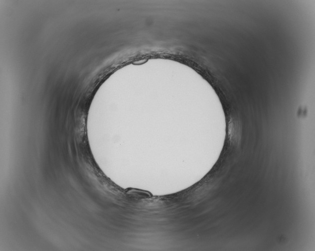 X0000110731492200907101415