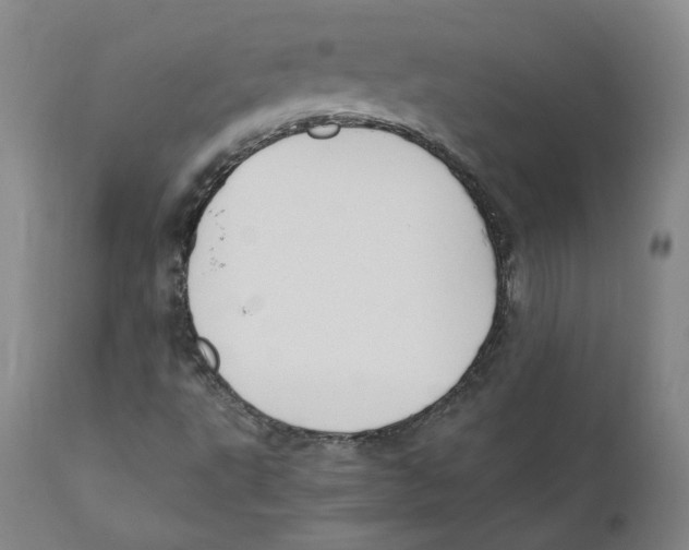 X0000110731495200907101415