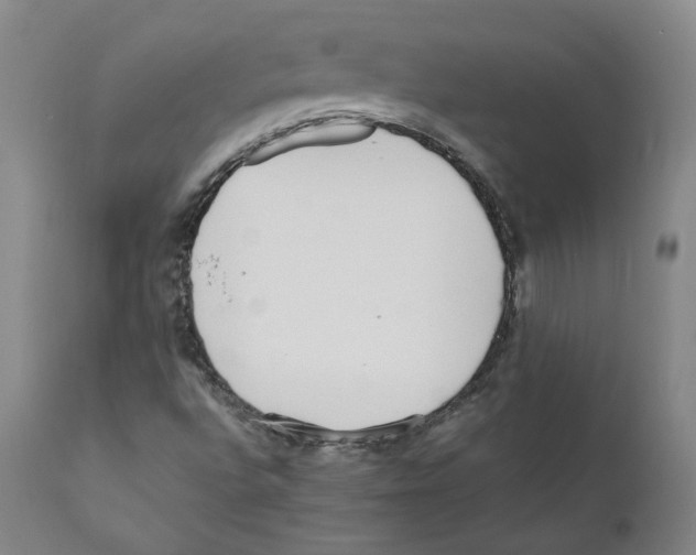 X0000110731496200907101415