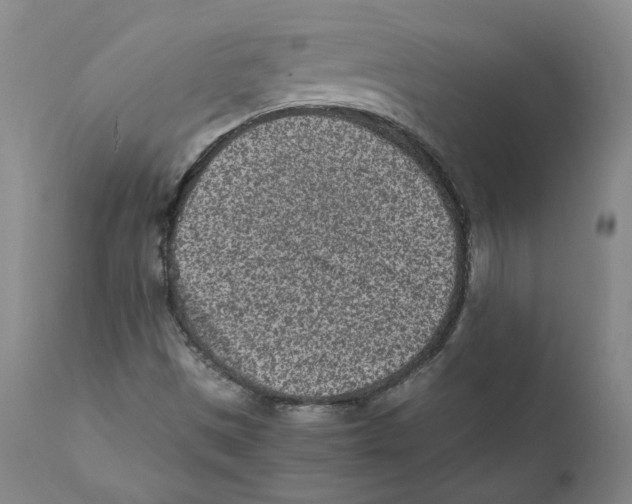 X0000110731497200907101415