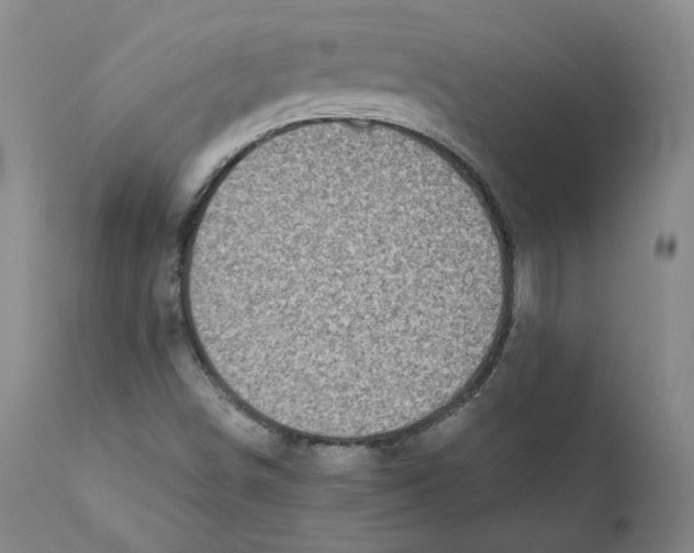 X0000110731498200907101415