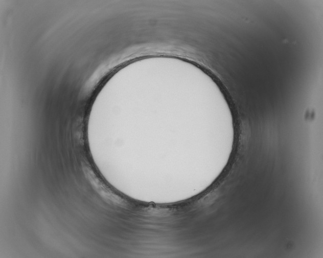X0000110731499200907101415