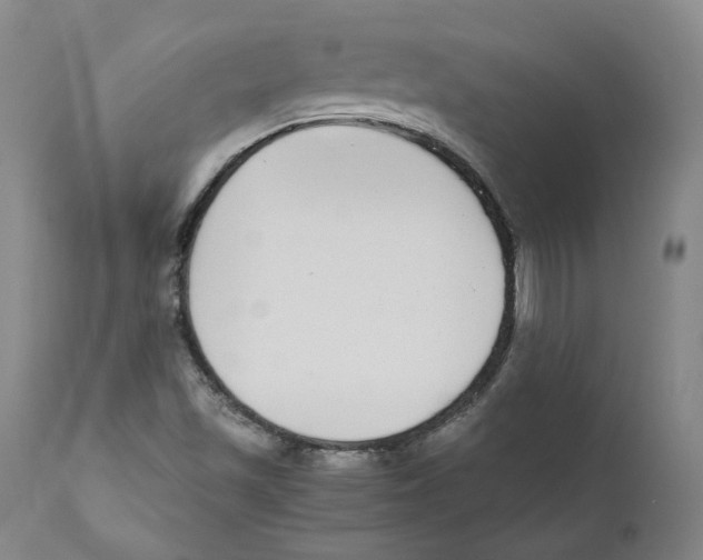 X0000110731501200907101416