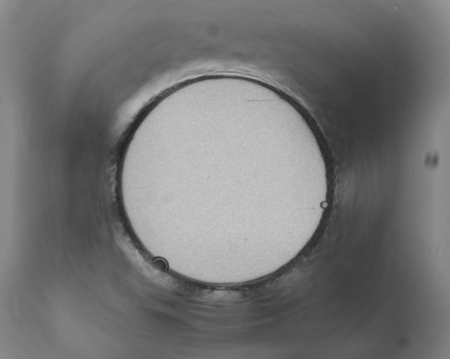 X0000110731503200907101416