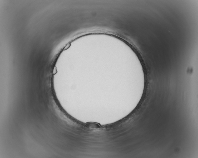 X0000110731504200907101416