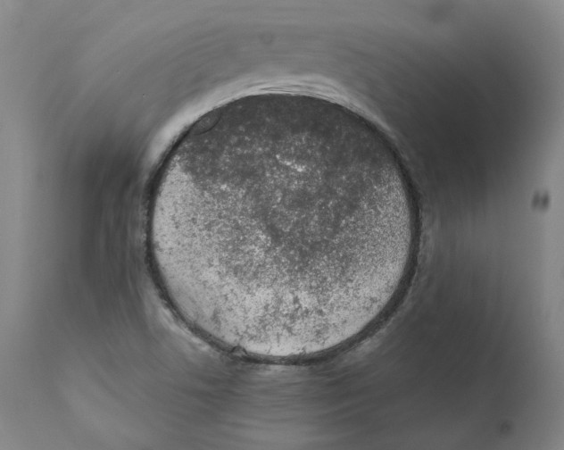 X0000110731506200907101416