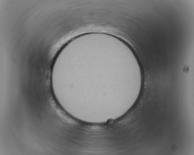 X0000110731507200907101416