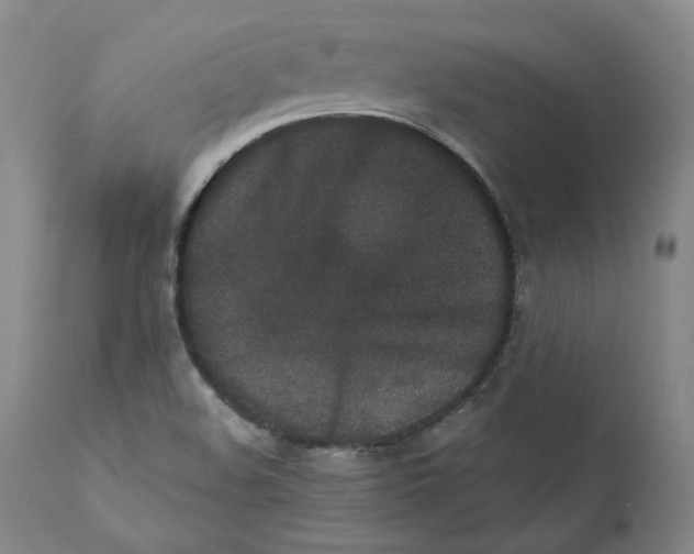 X0000110731508200907101416