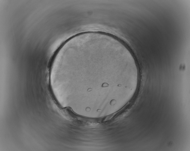 X0000110731509200907101416