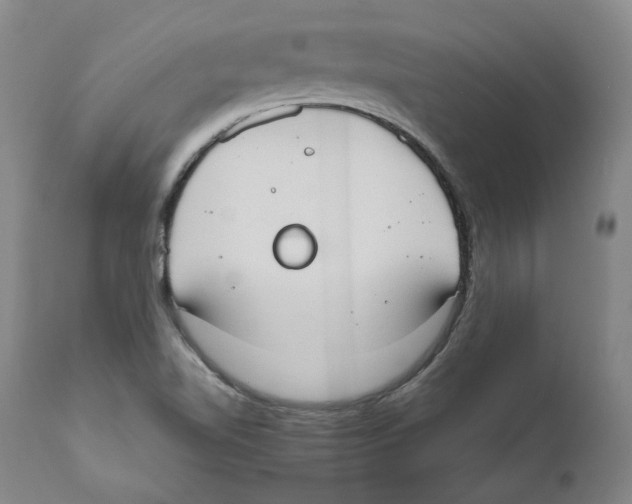 X0000110731510200907101416