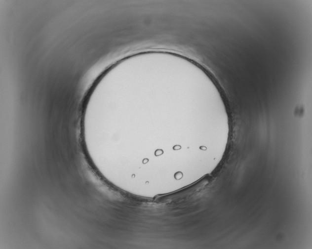 X0000110731511200907101416