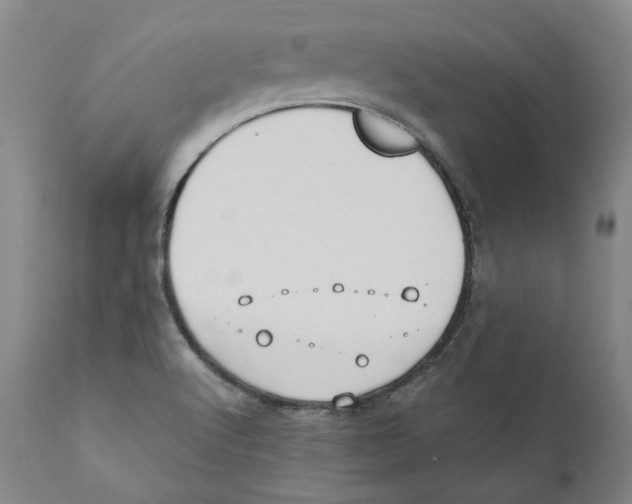 X0000110731512200907101416