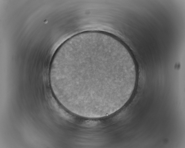 X0000110731513200907101416