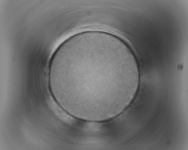 X0000110731514200907101416