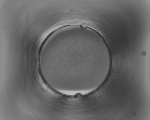 X0000110731515200907101416