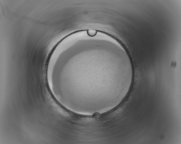 X0000110731517200907101416
