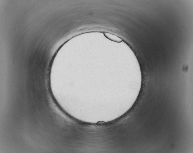 X0000110731518200907101416