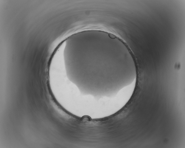 X0000110731519200907101416