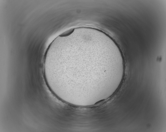 X0000110731520200907101416