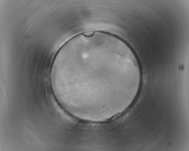 X0000110731521200907101416