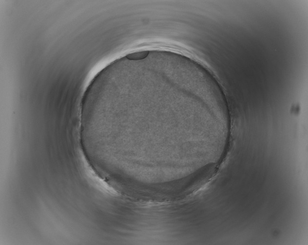 X0000110731522200907101416