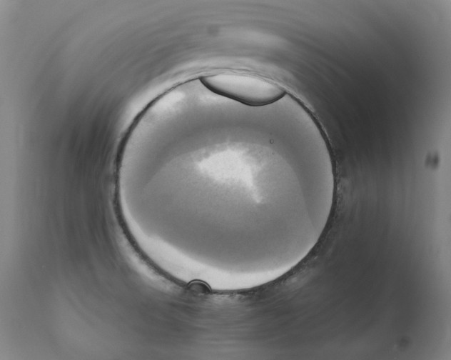 X0000110731523200907101416