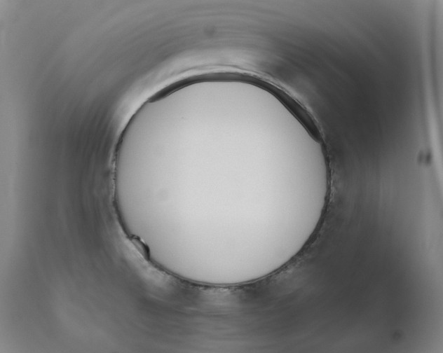 X0000110731524200907101416