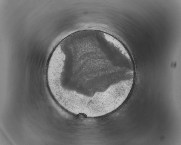 X0000110731525200907101416